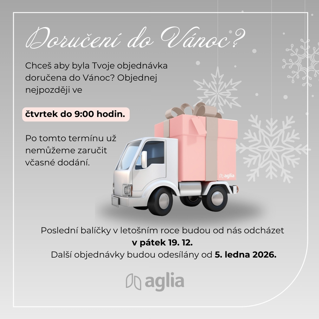 Zasílání Vánoce 2025
